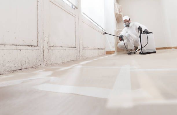 24/7 Emergency Bathroom Mold Removal experts in Ebensburg, PA